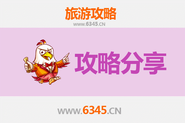 天津西青旅游攻略：跟团与自由行全方位解析